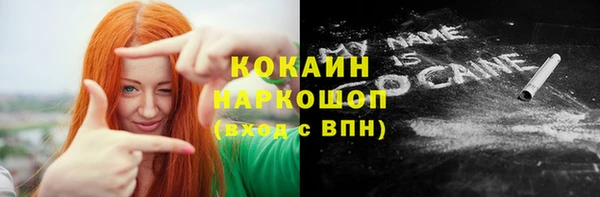стафф Богданович