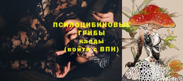 круглые Богородицк