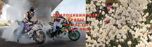 стафф Богданович