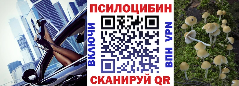 Купить закладки  Горбатов  Галлюциногенные грибы прущие грибы 